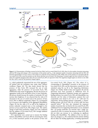 τD2, which qualitatively represented the size of the aggregates,
are plotted with the incubation time under these solution
conditions (Figure 3d). The data clearly showed that the
presence of bare Fe3O4 NPs increased the rate of early
aggregation, while the presence of Lys-coated Fe3O4 NPs
inhibited the early events of aggregation. Because the process of
aggregation results in the association of two or more molecules,
this process should decrease the number of molecules (N) and
increase their brightness. It was observed that the value of N
decreased in the case of control and in the presence of bare
Fe3O4 NPs to diﬀerent magnitudes (Figure 3e), accompanied
by an increase in the brightness of the aggregated Alexa488Syn
(Figure 3f), but the value of N as well as the brightness of
protein molecules remained more or less unchanged in the
presence of Lys-coated Fe3O4 NPs (Figure 3e,f). The relative
change of both these parameters (Figure 3e,f) also conﬁrmed
that the addition of Lys-coated Fe3O4 NPs strongly inhibited
Alexa488Syn aggregation.
FCS experiments were carried out to measure the binding
between Alexa488Syn and Fe3O4 NPs by measuring the values
of τD of the monomeric protein in the presence of bare and
Lys-coated Fe3O4 NPs (Figure 4a). The values of τD
corresponding to Alexa488Syn increased in the presence of
Lys-coated Fe3O4 NPs, and the dissociation constant (Kd) was
calculated using the eq S8 in the Supporting Information
(Figure 4a). Further details of the used equation S8 and the
derivation have been provided as Additional Text S3
(Supporting Information). Relatively stronger and cooperative
binding between Lys-coated Fe3O4 NPs and Alexa488Syn was
observed, and the values of dissociation constant (Kd) and
cooperativity were found to be 1.25 × 10−4
mM and 1.8,
respectively. Strong binding between Calmodulin, a calcium-
binding protein, and Fe3O4 NPs (Kd of 0.015 μM) has been
reported before.28
We have also calculated the maximum
number of proteins that can bind to the Lys-coated Fe3O4 NPs
(Additional Text S3, Supporting Information). It was calculated
that ∼35 protein molecules can associate with a single Lys-
coated Fe3O4 NPs. In contrast, the presence of bare Fe3O4 NPs
did not show any increase in τD, indicating no signiﬁcant
binding with Alexa488Syn. The addition of free Lys did not
show any change in τD. We conﬁrmed that the extrinsic labeling
did not aﬀect the binding signiﬁcantly, as binding experiments
Figure 4. (a) Determination of binding constant for the bare (blue) and Lys-coated (black) Fe3O4 NPs. Here N is the number of proteins interacting
with the NPs along with change in the concentration of the protein and Nmax is the maximum number of proteins interacting with the NPs. (b)
Pictorial representation of A-syn corona on the surface of a molecule of Lys-coated Fe3O4 NPs. While some of the proteins are associated with the
Lys-coated Fe3O4 NPs, some free proteins are also shown that have not yet bound. The interacting C-terminal region has been colored red. Panel c
shows the negatively charged pocket where the Lys-coated Fe3O4 NPs are expected to bind. The negatively charged regions are shown in red, while
the blue color is used for the positively charged regions.
Langmuir Article
DOI: 10.1021/la503749e
Langmuir 2015, 31, 1469−1478
1474
 