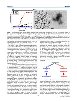 with unlabeled A-syn using tyrosine ﬂuorescence (Figure S4,
Supporting Information) yield similar Kd values (4.7 × 10−4
mM with Lys-coated Fe3O4 NPs).
Cell toxicity of these NPs was checked using ﬂow cytometry
analysis. NP-treated SH-SY5Y cells showed two diﬀerent eﬀects
(ﬂuorescence activated cell sorting (FACS) data, Figure S5,
Supporting Information). While bare Fe3O4 NPs led to the
early and late apoptosis of the cells (Quadrants Q2 and Q4,
respectively), Lys-coated Fe3O4 NPs were able to suppress this
eﬀect. About 7.4% (early and late apoptosis collectively,
Q2+Q4) cells were found to undergo apoptosis in the presence
of bare Fe3O4 NPs against only 1.9% cells in the presence of
Lys-coated Fe3O4 NPs. This is expected because Fe3O4 NPs
have been shown to induce ROS production and thus may lead
to oxidative stress.29
Proper surface functionalization with
biocompatible shells or coating with a polymer may alleviate
such harmful eﬀects.30
It has been proposed recently that the early oligomers, and
not the mature ﬁbrils, may be responsible for the pathogenesis
of neurodegeneration.5,31,32
However, it is diﬃcult to study the
early events of aggregation using standard biophysical methods.
We used FCS as the principal technique in this study because of
its application to monitor the early events of aggregation.11
The
present data showed that FCS can monitor the formation of
aggregated species at the early time points of aggregation
kinetics, under which condition no ThT binding could be
observed (Figure 1d). In addition, we used light scattering and
transmission electron microscopy (TEM) to study the eﬀects of
these Fe3O4 NPs on the late events (the formation of amyloid
ﬁbrils) (Figure 5a,b). We chose light scattering over ThT
ﬂuorescence because the presence of Fe3O4 NPs quenched
ThT ﬂuorescence, leading to complications in ﬂuorescence data
analyses. Nevertheless, we compared the ThT ﬂuorescence data
and light-scattering results in the absence of Fe3O4 NPs and
found that they represented similar events (Figure S6,
Supporting Information). Both light-scattering and TEM data
clearly show that the eﬀect of NPs is similar for both early and
late stages of aggregation (Figure 5). Similar to what was
observed with the early events of aggregation, the presence of
bare and Lys-coated Fe3O4 NPs favored and inhibited the late
stages of aggregation, respectively (Figure 5).
The presence of NPs has been shown to aﬀect the
aggregation of diﬀerent proteins, and these eﬀects vary
depending on the nature of NPs. Copolymeric NPs accelerate
the aggregation of ß2-microglobulin by promoting nucleation
on the NPs surface, while they play inhibitory roles in the
aggregation of ß-amyloid peptide.16,33−35
It is also shown that
the formation of amyloid ﬁbrils and the eﬀects of a NPs depend
on the stability of the protein.34
On the basis of the previous
literatures and the data presented in this paper, we are
proposing the mechanism in Scheme 1 to describe the results
obtained with Lys-coated Fe3O4 NPs.
In essence, this mechanism considers a competition between
binding of Alexa488Syn to itself (self-association) and to NPs
surface (protein−NPs interaction). It can be noted that the
primary structure of A-syn consists of two major domains. A
lipid binding domain comprises 1−102 residues spanning N-
terminal region (positively charged), the central region
(hydrophobic core), and a C-terminal end, which is highly
acidic in nature. The C-terminal of the protein is believed to
remain unstructured in its monomeric as well as in ﬁbrillar
forms.36
It can be assumed that the strong binding of the
positively charged Lys-coated Fe3O4 NPs with Alexa488Syn
Figure 5. (a) Measurements of the late stage of A-syn aggregation in the absence (black) and presence of Fe3O4 NPs. The data in the presence of
bare and Lys-coated Fe3O4 NPs are shown using red and blue colors, respectively. The data clearly show that the presence of bare Fe3O4 NPs
favored the formation of late stage aggregation, while Lys-coated Fe3O4 NPs prevented it. (b) TEM micrograph showing the formation of mature
ﬁbrils in the presence of bare and Lys-coated Fe3O4 NPs. In the presence of bare Fe3O4 NPs, large ﬁbrils of 25 ± 5 nm diameter were found in
abundance (left image, marked as BNP). In contrast, the extent of ﬁbrillation was found to be signiﬁcantly low in the presence of Lys-coated Fe3O4
NPs (right image, marked as LysNP). Both images were shown using identical scale for easy comparison.
Scheme 1
Langmuir Article
DOI: 10.1021/la503749e
Langmuir 2015, 31, 1469−1478
1475
 
