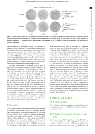reaction products of recombinant mouse PrP generated by
Supattapone and colleagues [29] represents the only preparation
with a specific infectivity that might be compatible with mean-
ingful structural analyses. However, the prion seed used to
initiatethesereactionshasonlybeen generatedby theseresearch-
ers to date [14,29,30] and our own attempt to generate such a
prion seed by adapting their published methods [14] was unsuc-
cessful (electronic supplementary material, table S2). In this
regard, the method has been reported by the authors to not
always lead to the formation of infectious prions [30].
Our own observations of occasional positive wells in
ASCA and the sporadic reports of synthetic infectivity in
the literature are consistent with the formation of infectivity
being a rare stochastic event which is difficult to reproduce
in vitro. Under our matrix conditions, the ASCA is able to
robustly detect prions at a concentration of 10 LD50 units
per 300 ml assay well (figure 2). For the highest concen-
trations of recPrP analysed (100 mg ml21
reactions), each
ASCA well contained 2.67 mg of PrP, which is equivalent to
the PrP content of 50 mg of RML prion-infected mouse
brain that contains approximately 108.1
intracerebral LD50
units. As the ASCA robustly detects as little as 10 LD50 units
per well our assay sensitivity has the ability to detect prions
at 1 part in more than 10 million of total PrP by weight. The
rare events that led to positive wells produced at best minimal
titres of infectivity and the inability to reproduce positivity in
such conditions precluded iterative optimization of conditions
in the hope of progressively increasing titre towards the aim of
generating material suitable for structural study.
3. Discussion
Our findings, systematically screening unprecedented numbers
of conditions, highlight the difficulty of producing synthetic
prion infectivity from bacterially expressed recPrP. It is possi-
ble that efficient prion production requires eukaryotically
expressed, post-translationally modified PrP and/or specific
cofactors. Additional factors may also include specific biologi-
cal replication sites or surfaces. Highly specific quaternary
structural features may be required in PrP polymers to render
them efficient in vivo pathogens that would form at extremely
low probability in vitro. While it is possible that such rare
prion assemblies would then be amplified in a biological
system, as may have occurred transiently in the SCA and
robustly in some published in vivo studies, this of course then
leads to the same problem of purification prior to structural
analysis that has limited progress with conventional prions.
One important caveat of our screening approach for syn-
thetic prions is that we are necessarily limited to detecting
prion strains with replication rates that not only exceed
their rates of degradation but also exceed the rate at which
PK1 cells divide [16]. Increasing the number of cell passages
beyond the standard SCA format would not therefore
improve the assay’s sensitivity or its ability to detect a greater
range of possible synthetic prion strains. Instead alternative
cell types that have different rates of division in culture
might be required in order to detect slowly replicating syn-
thetic prion strains [31]. However, repeating the screening
that we describe with different cell types would be a highly
challenging undertaking. A more promising approach may
come from progress with purification and structural charac-
terization of ex vivo prions [32], and in understanding
cofactors present in normal brain tissue necessary for efficient
in vitro prion amplification. These data can then be used to
guide more focused approaches to eventually produce homo-
geneous synthetic prions that would allow atomic resolution
structure determination.
4. Material and methods
4.1. Research governance
Work with prion-infected samples was conducted in micro-
biological containment level 3 facilities with strict adherence
to safety protocols.
4.2. Preparation of recombinant prion protein master
plates
Recombinant mouse PrP (Prnp allele a, residues 23–231) was
prepared and folded in a native alpha-helical conformation
(a-PrP) or a beta-sheet-enriched conformation (b-PrP) using
buffer conditions described previously [33]. Full details can
• Cu:PrP 5 :1 molar ratio
• RT immediate
• 0 mM Nacl
• 1 μg ml–1 Prp alpha
• pH 7.5
• Cu:PrP 5 :1 molar ratio
• RT immediate
• 0 mM Nacl
• 10 μg ml–1 Prp alpha
• pH 3.5
wells A3
positive wells matrix 25c plate 3
wells A4
split 3 split 4 split 5
Figure 3. Example positive wells from the matrix. ELISPOT wells containing spots with the characteristic visual appearance seen in prion bioassay by SCAwere observed to
increase successively over cell splits three to five. The matrix conditions that generated these positive findings are detailed next to the wells and were observed in the
presence of copper ions at a 5 : 1 molar ratio with PrP and incubation at room temperature (RT) for 1 h (immediate) prior to inoculating the cells. These findings were not
consistently reproducible.
rsob.royalsocietypublishing.orgOpenBiol.5:150165
4
on May 31, 2016http://rsob.royalsocietypublishing.org/Downloaded from
 