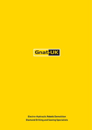 Gnat-UK
Electro-Hydraulic RoboticDemolition
Diamond Drilling and Sawing Specialists
 