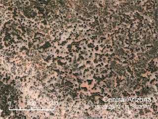Central Arizona
35°23’26”N 111°36’20”W
0 250 500 m
 