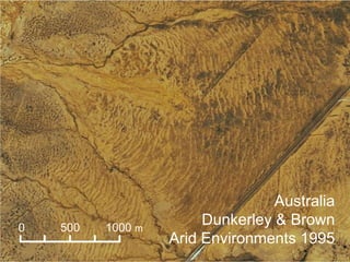 Australia
Dunkerley & Brown
Arid Environments 1995
0 500 1000 m
 