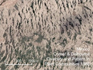 Mexico
Cornet & Delhoume
Diversity and Pattern In
Plant Communities 1988
0 500 1000 m
 