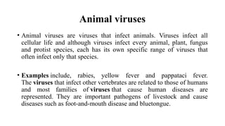 DPT - Microbiology II - Introduction to Virology | PPTX