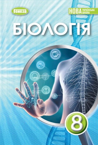 8_b_b_2025 - щшяв опшщыво