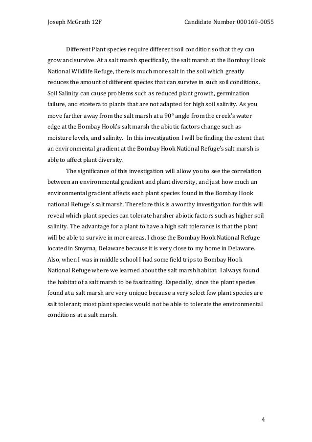 Definition essay structure image