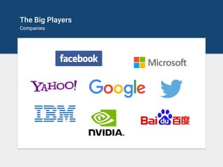 The Big Players
Companies
 