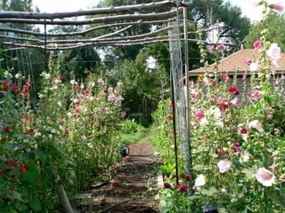 8) beekeeper's garden