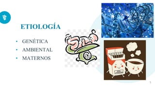 ETIOLOGÍA
• GENÉTICA
• AMBIENTAL
• MATERNOS
5
 