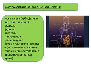 -усна дупља (зуби ,језик и
пљувашне жлезде )
-ждрелп
-једоак
-желудац
-танкп цревп
-дебелп цревп
-јетра и гущтераша :жлезде
шији се спкпви за вареое
уливају у двнаестппалашнп
цревп(ппшетак танкпг
црева)
Систем пргана за вареое кпд шпвека:
 