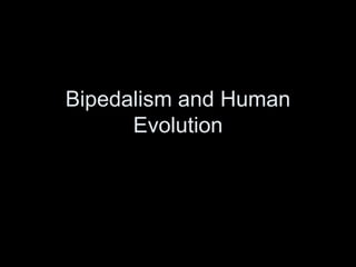 Bipedalism and Human
Evolution
 