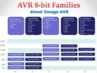 Atmel Xmega AVR

 