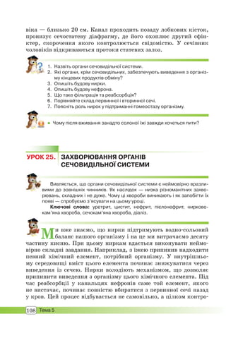 108 Тема 5
віка — близько 20 см. Канал проходить позаду лобкових кісток,
пронизує сечостатеву діафрагму, де його охоплює другий сфін-
ктер, скорочення якого контролюється свідомістю. У сечівник
чоловіків відкриваються протоки статевих залоз.
1. Назвіть органи сечовидільної системи.
2. Які органи, крім сечовидільних, забезпечують виведення з організ-
му кінцевих продуктів обміну?
3. Опишіть будову нирки.
4. Опишіть будову нефрона.
5. Що таке фільтрація та реабсорбція?
6. Порівняйте склад первинної і вторинної сечі.
7. Поясніть роль нирок у підтриманні гомеостазу організму.
 Чому після вживання занадто солоної їжі завжди хочеться пити?
УРОК 25. ЗАХВОРЮВАННЯ ОРГАНІВ
СЕЧОВИДІЛЬНОЇ СИСТЕМИ
Вивляється, що органи сечовидільної системи є неймовірно вразли-
вими до зовнішніх чинників. Як наслідок — низка різноманітних захво-
рювань, складних і не дуже. Чому ці хвороби виникають і як запобігти їх
появі — спробуємо з’ясувати на цьому уроці.
Ключові слова: уретрит, цистит, нефрит, пієлонефрит, нирково-
кам’яна хвороба, сечокам’яна хвороба, діаліз.
Ми вже знаємо, що нирки підтримують водно-сольовий
баланс нашого організму і на це ми витрачаємо десяту
частину кисню. При цьому ниркам вдається виконувати неймо-
вірно складні завдання. Наприклад, з їжею припинив надходити
певний хімічний елемент, потрібний організму. У внутрішньо-
му середовищі вміст цього елемента починає знижуватися через
виведення із сечею. Нирки володіють механізмом, що дозволяє
припинити виведення з організму цього хімічного елемента. Під
час реабсорбції у канальцях нефронів саме той елемент, якого
не вистачає, починає повністю вбиратися з первинної сечі назад
у кров. Цей процес відбувається не самовільно, а цілком контро-
 
