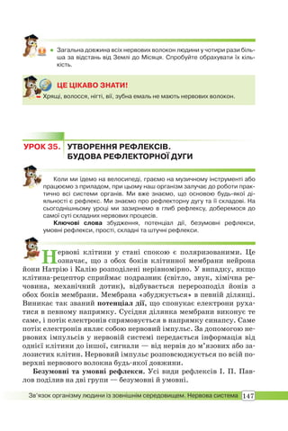147Зв’язок організму людини із зовнішнім середовищем. Нервова система
 Загальна довжина всіх нервових волокон людини у чотири рази біль-
ша за відстань від Землі до Місяця. Спробуйте обрахувати їх кіль-
кість.
ЦЕ ЦІКАВО ЗНАТИ!
 Хрящі, волосся, нігті, вії, зубна емаль не мають нервових волокон. Хря
УРОК 35. УТВОРЕННЯ РЕФЛЕКСІВ.
БУДОВА РЕФЛЕКТОРНОЇ ДУГИ
Коли ми їдемо на велосипеді, граємо на музичному інструменті або
працюємо з приладом, при цьому наш організм залучає до роботи прак-
тично всі системи органів. Ми вже знаємо, що основою будь-якої ді-
яльності є рефлекс. Ми знаємо про рефлекторну дугу та її складові. На
сьогоднішньому уроці ми зазирнемо в глиб рефлексу, доберемося до
самої суті складних нервових процесів.
Ключові слова збудження, потенціал дії, безумовні рефлекси,
умовні рефлекси, прості, складні та штучні рефлекси.
Нервові клітини у стані спокою є поляризованими. Це
означає, що з обох боків клітинної мембрани нейрона
йони Натрію і Калію розподілені нерівномірно. У випадку, якщо
клітина-рецептор сприймає подразник (світло, звук, хімічна ре-
човина, механічний дотик), відбувається перерозподіл йонів з
обох боків мембрани. Мембрана «збуджується» в певній ділянці.
Виникає так званий потенціал дії, що спонукає електрони руха-
тися в певному напрямку. Сусідня ділянка мембрани виконує те
саме, і потік електронів спрямовується в напрямку синапсу. Саме
потік електронів являє собою нервовий імпульс. За допомогою не-
рвових імпульсів у нервовій системі передається інформація від
однієї клітини до іншої, сигнали — від нервів до м’язових або за-
лозистих клітин. Нервовий імпульс розповсюджується по всій по-
верхні нервового волокна будь-якої довжини.
Безумовні та умовні рефлекси. Усі види рефлексів І. П. Пав-
лов поділив на дві групи — безумовні й умовні.
 