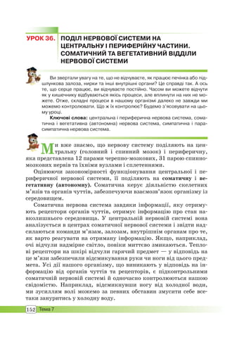 152 Тема 7
УРОК 36. ПОДІЛ НЕРВОВОЇ СИСТЕМИ НА
ЦЕНТРАЛЬНУ І ПЕРИФЕРІЙНУ ЧАСТИНИ.
СОМАТИЧНИЙ ТА ВЕГЕТАТИВНИЙ ВІДДІЛИ
НЕРВОВОЇ СИСТЕМИ
Ви звертали увагу на те, що не відчуваєте, як працює печінка або під-
шлункова залоза, нирки та інші внутрішні органи? Це справді так. А ось
те, що серце працює, ви відчуваєте постійно. Часом ви можете відчути
як у кишечнику відбуваються якісь процеси, але вплинути на них не мо-
жете. Отже, складні процеси в нашому організмі далеко не завжди ми
можемо контролювати. Що ж їх контролює? Будемо з’ясовувати на цьо-
му уроці.
Ключові слова: центральна і периферична нервова система, сома-
тична і вегетативна (автономна) нервова система, симпатична і пара-
симпатична нервова система.
Ми вже знаємо, що нервову систему поділяють на цен-
тральну (головний і спинний мозок) і периферичну,
яка представлена 12 парами черепно-мозкових, 31 парою спинно-
мозкових нервів та їхніми вузлами і сплетеннями.
Оцінюючи закономірності функціонування центральної і пе-
риферичної нервової системи, її поділяють на соматичну і ве-
гетативну (автономну). Соматична керує діяльністю скелетних
м’язів та органів чуттів, забезпечуючи взаємозв’язок організму із
середовищем.
Соматична нервова система завдяки інформації, яку отриму-
ють рецептори органів чуттів, отримує інформацію про стан на-
вколишнього середовища. У центральній нервовій системі вона
аналізується в центрах соматичної нервової системи і звідти над-
силаються команди м’язам, залозам, внутрішнім органам про те,
як варто реагувати на отриману інформацію. Якщо, наприклад,
очі відчули надмірне світло, повіки миттєво змикаються. Тепло-
ві рецептори на шкірі відчули гарячий предмет — у відповідь на
це м’язи забезпечили відсмикування руки чи ноги від цього пред-
мета. Усі дії нашого організму, що виникають у відповідь на ін-
формацію від органів чуттів та рецепторів, є підконтрольними
соматичній нервовій системі й одночасно контролюються нашою
свідомістю. Наприклад, відсмикнувши ногу від холодної води,
ми зусиллям волі можемо за певних обставин змусити себе все-
таки зануритись у холодну воду.
 