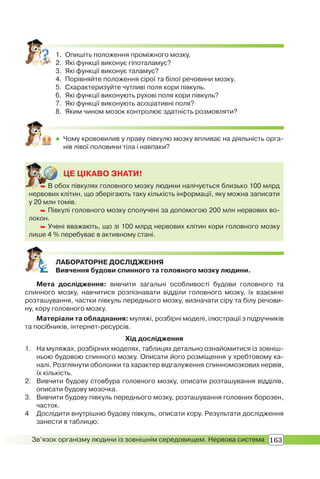 163Зв’язок організму людини із зовнішнім середовищем. Нервова система
1. Опишіть положення проміжного мозку.
2. Які функції виконує гіпоталамус?
3. Які функції виконує таламус?
4. Порівняйте положення сірої та білої речовини мозку.
5. Схарактеризуйте чутливі поля кори півкуль.
6. Які функції виконують рухові поля кори півкуль?
7. Які функції виконують асоціативні поля?
8. Яким чином мозок контролює здатність розмовляти?
 Чому крововилив у праву півкулю мозку впливає на діяльність орга-
нів лівої половини тіла і навпаки?
ЦЕ ЦІКАВО ЗНАТИ!
 В обох півкулях головного мозку людини налічується близько 100 млрд
нервових клітин, що зберігають таку кількість інформації, яку можна записати
у 20 млн томів.
 Півкулі головного мозку сполучені за допомогою 200 млн нервових во-
локон.
 Учені вважають, що зі 100 млрд нервових клітин кори головного мозку
лише 4 % перебуває в активному стані.
 В о
ЛАБОРАТОРНЕ ДОСЛІДЖЕННЯ
Вивчення будови спинного та головного мозку людини.
Мета дослідження: вивчити загальні особливості будови головного та
спинного мозку, навчитися розпізнавати відділи головного мозку, їх взаємне
розташування, частки півкуль переднього мозку, визначати сіру та білу речови-
ну, кору головного мозку.
Матеріали та обладнання: муляжі, розбірні моделі, ілюстрації з підручників
та посібників, інтернет-ресурсів.
Хід дослідження
1. На муляжах, розбірних моделях, таблицях детально ознайомитися із зовніш-
ньою будовою спинного мозку. Описати його розміщення у хребтовому ка-
налі. Розглянути оболонки та характер відгалуження спинномозкових нервів,
їх кількість.
2. Вивчити будову стовбура головного мозку, описати розташування відділів,
описати будову мозочка.
3. Вивчити будову півкуль переднього мозку, розташування головних борозен,
часток.
4 Дослідити внутрішню будову півкуль, описати кору. Результати дослідження
занести в таблицю:
 