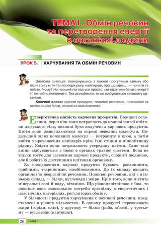 20 Тема 1
ТЕМА1. Обмін речовин
та перетворення енергії
в організмі людини
ТЕМА1.ТЕМА1. Обмін речовинОбмін речовин
та перетворення енергіїта перетворення енергії
в організмі людинив організмі людини
УРОК 5. ХАРЧУВАННЯ ТА ОБМІН РЕЧОВИН
Знайома ситуація: повернувшись з лижної прогулянки взимку або
після гри у м’яч теплої пори року, найперше, про що мрієш, — попити та
поїсти. Чому? На перший погляд усе просто: ми втратили багато енергії
і її потрібно поповнити. Тож дізнаймося, як це відбувається в нашому ор-
ганізмі.
Ключові слова: харчові продукти, поживні речовини, повноцінні та
неповноцінні білки, незамінні амінокислоти.
Енергетична цінність харчових продуктів. Поживні речо-
вини, перш ніж вони потраплять до кожної живої кліти-
ни людського тіла, повинні бути вилучені з харчових продуктів.
Потім вони розщеплюються на окремі невеликі молекули. По-
дальший шлях поживних молекул — потрапити в кров, а потім
вийти з кровоносних капілярів крізь їхні стінки в міжклітинну
рідину. Звідти вони потрапляють усередину клітин. Саме такі
зміни відбуваються з їжею в органах травної системи. Вона не
тільки готує для засвоєння харчові продукти, спожиті людиною,
але й робить їх доступними клітинам організму.
За походженням харчові продукти бувають рослинними,
грибними, тваринними, комбінованими. До їх складу входять
органічні та неорганічні речовини. Поживні речовини, які є в їх-
ньому складі, — білки, вуглеводи і жири. Крім того, вони містять
мінеральні солі й воду, вітаміни. Що різноманітнішою є їжа, то
повніше вона задовольняє потреби організму в енергетичних і
пластичних матеріалах, регуляторах обміну.
У більшості продуктів харчування є поживні речовини, пред-
ставлені в різних кількостях. В одному продукті переважають
жири (горіхи, олія), у другому — білки (риба, м’ясо), у третьо-
му — вуглеводи (картопля).
 