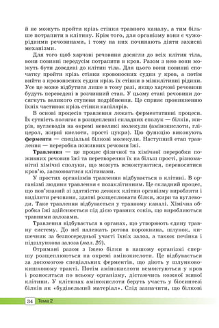 34 Тема 2
й не можуть пройти крізь стінки травного каналу, а тим біль-
ше потрапити в клітину. Крім того, для організму вони є чужо-
рідними речовинами, і тому на них починають діяти захисні
механізми.
Для того щоб харчові речовини досягли до всіх клітин тіла,
вони повинні передусім потрапити в кров. Разом з нею вони мо-
жуть бути доведені до клітин тіла. Для цього вони повинні спо-
чатку пройти крізь стінки кровоносних судин у кров, а потім
вийти з кровоносних судин крізь їх стінки в міжклітинні рідини.
Усе це може відбутися лише в тому разі, якщо харчові речовини
будуть переведені в розчинний стан. У цьому стані речовини до-
сягнуть великого ступеня подрібнення. Це сприяє проникненню
їхніх частинок крізь стінки капілярів.
В основі процесів травлення лежать ферментативні процеси.
Їх сутність полягає в розщепленні складних сполук — білків, жи-
рів, вуглеводів на окремі невеликі молекули (амінокислоти, глі-
церол, жирні кислоти, прості цукри). Цю функцію виконують
ферменти — спеціальні білкові молекули. Наступний етап трав-
лення — переробка поживних речовин їжі.
Травлення — це процес фізичної та хімічної переробки по-
живних речовин їжі та перетворення їх на більш прості, різнома-
нітні хімічні сполуки, що можуть всмоктуватися, переноситися
кров’ю, засвоюватися клітинами.
У простих організмів травлення відбувається в клітині. В ор-
ганізмі людини травлення є позаклітинним. Це складний процес,
що пов’язаний зі здатністю деяких клітин організму виробляти і
виділяти речовини, здатні розщеплювати білки, жири та вуглево-
ди. Таке травлення відбувається у травному каналі. Хімічна об-
робка їжі здійснюється під дією травних соків, що виробляються
травними залозами.
Травлення відбувається в органах, що утворюють єдину трав-
ну систему. До неї належать ротова порожнина, шлунок, ки-
шечник за безпосередньої участі їхніх залоз, а також печінка і
підшлункова залоза (мал. 20).
Отримані разом з їжею білки в нашому організмі спер-
шу розщеплюються на окремі амінокислоти. Це відбувається
за допомогою спеціальних ферментів, що діють у шлунково-
кишковому тракті. Потім амінокислоти всмоктуються у кров
і розносяться по всьому організму, дістаючись кожної живої
клітини. У клітинах амінокислоти беруть участь у біосинтезі
білків як «будівельний матеріал». Слід зазначити, що білкові
 