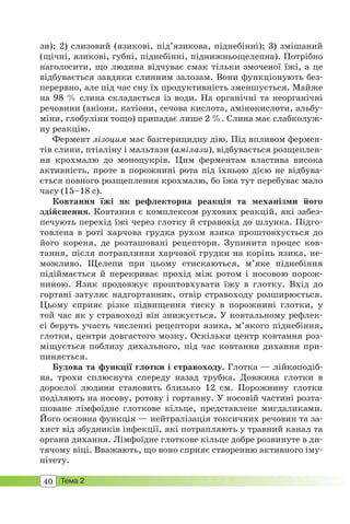 40 Тема 2
зи); 2) слизовий (язикові, під’язикова, піднебінні); 3) змішаний
(щічні, язикові, губні, піднебінні, піднижньощелепна). Потрібно
наголосити, що людина відчуває смак тільки змоченої їжі, а це
відбувається завдяки слинним залозам. Вони функціонують без-
перервно, але під час сну їх продуктивність зменшується. Майже
на 98 % слина складається із води. На органічні та неорганічні
речовини (аніони, катіони, сечова кислота, амінокислоти, альбу-
міни, глобуліни тощо) припадає лише 2 %. Слина має слабколуж-
ну реакцію.
Фермент лізоцим має бактерицидну дію. Під впливом фермен-
тів слини, птіаліну і мальтази (амілази), відбувається розщеплен-
ня крохмалю до моноцукрів. Цим ферментам властива висока
активність, проте в порожнині рота під їхньою дією не відбува-
ється повного розщеплення крохмалю, бо їжа тут перебуває мало
часу (15–18 с).
Ковтання їжі як рефлекторна реакція та механізми його
здійснення. Ковтання є комплексом рухових реакцій, які забез-
печують перехід їжі через глотку й стравохід до шлунка. Підго-
товлена в роті харчова грудка рухом язика проштовхується до
його кореня, де розташовані рецептори. Зупинити процес ков-
тання, після потрапляння харчової грудки на корінь язика, не-
можливо. Щелепи при цьому стискаються, м’яке піднебіння
підіймається й перекриває прохід між ротом і носовою порож-
ниною. Язик продовжує проштовхувати їжу в глотку. Вхід до
гортані затуляє надгортанник, отвір стравоходу розширюється.
Цьому сприяє різке підвищення тиску в порожнині глотки, у
той час як у стравоході він знижується. У ковтальному рефлек-
сі беруть участь численні рецептори язика, м’якого піднебіння,
глотки, центри довгастого мозку. Оскільки центр ковтання роз-
міщується поблизу дихального, під час ковтання дихання при-
пиняється.
Будова та функції глотки і стравоходу. Глотка — лійкоподіб-
на, трохи сплюснута спереду назад трубка. Довжина глотки в
дорослої людини становить близько 12 см. Порожнину глотки
поділяють на носову, ротову і гортанну. У носовій частині розта-
шоване лімфоїдне глоткове кільце, представлене мигдаликами.
Його основна функція — нейтралізація токсичних речовин та за-
хист від збудників інфекції, які потрапляють у травний канал та
органи дихання. Лімфоїдне глоткове кільце добре розвинуте в ди-
тячому віці. Вважають, що воно сприяє створенню активного іму-
нітету.
 