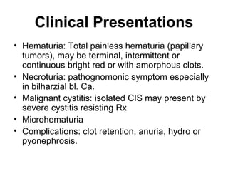 Clinical Presentations
• Hematuria: Total painless hematuria (papillary
tumors), may be terminal, intermittent or
continuous bright red or with amorphous clots.
• Necroturia: pathognomonic symptom especially
in bilharzial bl. Ca.
• Malignant cystitis: isolated CIS may present by
severe cystitis resisting Rx
• Microhematuria
• Complications: clot retention, anuria, hydro or
pyonephrosis.
 