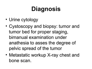 Diagnosis
• Urine cytology
• Cystoscopy and biopsy: tumor and
tumor bed for proper staging,
bimanual examination under
anathesia to asses the degree of
pelvic spread of the tumor
• Metastatic workup X-ray chest and
bone scan.
 