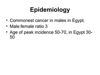 Epidemiology
• Commonest cancer in males in Egypt.
• Male:female ratio 3
• Age of peak incidence 50-70, in Egypt 30-
50
 