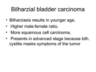 Bilharzial bladder carcinoma
• Bilharziasis results in younger age,
• Higher male:female ratio,
• More squamous cell carcinoma,
• Presents in advanced stage because bilh.
cystitis masks symptoms of the tumor
 