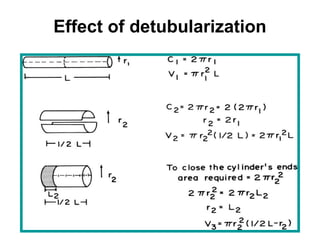 Effect of detubularization
 