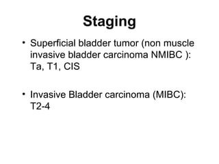 Staging
• Superficial bladder tumor (non muscle
invasive bladder carcinoma NMIBC ):
Ta, T1, CIS
• Invasive Bladder carcinoma (MIBC):
T2-4
 