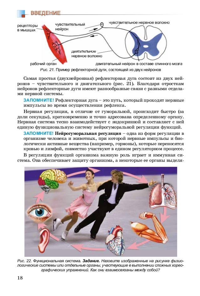 8 b mat_2016_ru