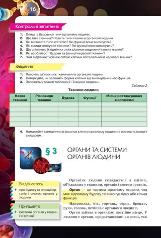 16
1. Опишіть будову клітини організму людини.
2. Що таке тканина? Назвіть типи тканин в організмі людини.
3. Які ви знаєте типи епітелію? Які функції вони виконують?
4. Які є види сполучної тканини? Які функції вони виконують?
5. Що спільного й відмінного між різними видами м’язових тканин?
6. Які особливості будови та функції нервової тканини?
7. Чим відрізняються між собою клітини епітеліальної й нервової тканин?
1. Поясніть зв’язок між тканинами в організмі людини.
2. Поміркуйте, чи залежить форма клітини від виконуваних нею функцій.
3. Заповніть у зошиті таблицю 2 «Тканини людини».
Таблиця 2
Тканини людини
Назва
тканини
Різновиди
тканини
Будова Функції
Місце розташування
в організмі
4. Намалюйте схематично в зошитах клітину організму людини та підпишіть назви її
складових.
§ 3 ОРГАНИ ТА СИСТЕМИ
ОРГАНІВ ЛЮДИНИ
Організм людини складається з клітин,
об’єднаних у тканини, органів і систем органів.
Орган — це частина організму людини, яка
має відповідну будову та виконує одну або кілька
функцій.
Наприклад, ніс, гортань, серце, бронхи,
рука, голова, печінка є органами людини.
Орган займає в організмі постійне місце. У
людини є органи, що розташовані як зовні, так
1. Опишіть будову клітини організму людини.
Контрольні запитання
1. Поясніть зв’язок між тканинами в організмі людини.
Завдання
Ви дізнаєтесь
Пригадайте
 про будову та функції ор-
ганів і систем органів у
людини
Пригадайте
 системи органів у тварин
і їх функції
 