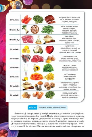 32
Вітамін А:
яйця, молоко, ялова
печінка, горох,
квасоля, дріжджі,
паростки пшениці
сир, яйця,
вівсяні пластівці,
свинина, риба, молоко,
соєва олія
цитрусові,
червоні фрукти, цвітна
капуста, зелений
горошок, квасоля, редька
соняшникова олія,
ялова печінка, риба,
яєчний жовток, яловичина
молоко, салат,
паростки пшениці,
соняшникова олія
риб’ячий жир,
оливкова олія,
сухофрукти
ялова печінка, гриби,
вівсяні пластівці,
шоколад, яєчний жовток,
горіхи, молоко
морська капуста,
зелений чай, шпінат,
цибуля, сочевиця
ялова печінка, яйця, сир,
риба, молоко, шпинат,
морква, петрушка
Вітамін B1
:
Вітамін B2
:
Вітамін C:
Вітамін D:
Вітамін E:
Вітамін F:
Вітамін H:
Вітамін K:
Продукти, в яких наявні вітаміниМал. 16
Вітамін Д утворюється у шкірі людини під впливом ультрафіоле-
тового випромінювання (на сонці). Потім він перетворюється в активну
форму в печінці та нирках. Джерелами вітаміну Д є риб’ячий жир, яєч-
ні жовтки, молоко, вершкове масло тощо. В організмі людини вітамін
Д сприяє всмоктуванню кальцію у шлунково-кишковому тракті, мобі-
лізує кальцій із кісток. Обидва механізми необхідні для підтримання
 