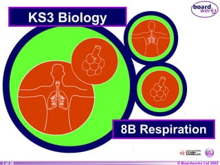 © Boardworks Ltd 20041 of 20 © Boardworks Ltd 20051 of 26
KS3 Biology
8B Respiration
 