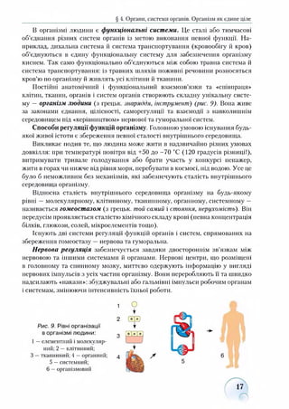 § 4. Органи, системи органів. Організм як єдине ціле
В організмі людини є функціональні системи. Це сталі або тимчасові
об’єднання різних систем органів із метою виконання певної функції. На­
приклад, дихальна система й система транспортування (кровообігу й кров)
об’єднуються в єдину функціональну систему для забезпечення організму
киснем. Так само функціонально об’єднуються між собою травна система й
система транспортування: із травних шляхів поживні речовини розносяться
кров’ю по організму й живлять усі клітини й тканини.
Постійні анатомічний і функціональний взаємозв’язки та «співпраця»
клітин, тканин, органів і систем органів створюють складну унікальну систе­
му — організм людини (з грецьк. знаряддя, інструмент) (рис. 9)- Вона живе
за законами єднання, цілісності, саморегуляції та взаємодії з навколишнім
середовищем під «керівництвом» нервової та гуморальної систем.
Способи регуляції функцій організму. Головною умовою існування будь-
якої живої істоти є збереження певної сталості внутрішнього середовища.
Викликає подив те, що людина може жити в надзвичайно різних умовах
довкілля: при температурі повітря від +50 до -70 °С (120 градусів різниці!),
витримувати тривале голодування або брати участь у конкурсі ненажер,
жити в горах чи нижче від рівня моря, перебувати в космосі, під водою. Усе це
було б неможливим без механізмів, які забезпечують сталість внутрішнього
середовища організму.
Відносна сталість внутрішнього середовища організму на будь-якому
рівні —молекулярному, клітинному, тканинному, органному, системному —
називається гомеостазом (з грецьк. той самий і стояння, нерухомість). Він
передусім проявляється сталістю хімічного складу крові (певна концентрація
білків, глюкози, солей, мікроелементів тощо).
Існують дві системи регуляції функцій органів і систем, спрямованих на
збереження гомеостазу —нервова та гуморальна.
Нервова регуляція забезпечується завдяки двостороннім зв’язкам між
нервовою та іншими системами й органами. Нервові центри, що розміщені
в головному та спинному мозку, миттєво одержують інформацію у вигляді
нервових імпульсів з усіх частин організму. Вони переробляють її та швидко
надсилають «накази»: збуджувальні або гальмівні імпульси робочим органам
і системам, змінюючи інтенсивність їхньої роботи.
1 О •
2
Рис. 9. Рівні організації
в організмі людини: 3
І —елементний і молекуляр­
ний; 2 —клітинний;
З —тканинний; 4 —органний; 4
5 —системний;
6 —організмовий
17
 