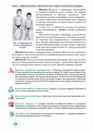 ТЕМА 1. ОБМІН РЕЧОВИН І ПЕРЕТВОРЕННЯ ЕНЕРГІЇ В ОРГАНІЗМІ ЛЮДИНИ
Вітамін £> разом із гормонами щитоподібної
та паращитонодібних залоз впливає на процеси
кісткоутворення й регулює правильне спів­
відношення кальцію та фосфору, з яких утворюють­
ся кістки, забезпечує всмоктування цих елементів
у тонкому кишечнику та перенесення їх кров’ю до
кісткової тканини.
У разі гіпо- й авітамінозу вітаміну О виникає
тяжке захворювання —рахіт (з грецьк. хребетний
стовп).
Від нестачі Кальцію та Фосфору в організмі ди­
тини її кістки розм’якшуються, тоншають, не зарос­
тає тім’ячко; ноги викривляються, спотворюються
(рис. 13), ріст уповільнюється. Вітамін О міститься в
печінці, риб’ячому жирі, яєчному жовтку. Організм
може сам синтезувати вітамін О у шкірі під впливом
сонячних променів.
Вітамін Е виливає на репродуктивну функцію. Його нестача спричиняє
безплідність. Цей вітамін міститься в нерафінованих рослинних оліях, зарод­
ках зерен пшениці, печінці.
Вітамін К синтезується мікроорганізмами кишечнику. Без нього не утво­
рюється найважливіший чинник згортання крові — протромбін. Цей вітамін
містять деякі рослини: шпинат, капуста, салат, кропива, грицики, деревій.
Рис. 13. Викривлення
ніг при захворюванні
на рахіт
Думаємо, розуміємо, відповідаємо. 1. Поясніть походження слова вітамін.
2. Що є джерелом вітамінів для організму людини? 3. Назвіть хворобливі стани,
що виникають за нестачі вітамінів у організмі. 4. Обґрунтуйте значення вітаміну С
для організму людини. Які порушення виникають за його нестачі? 5. Обґрунтуй­
те значення вітамінів групи В для організму людини. Які порушення в організмі
виникають за їхньої нестачі? 6. Який природний чинник сприяє профілактиці та
лікуванню рахіту?
Самостійна робота з підручником. Складіть у зошитах таблицю «Вітаміни, їх
роль і шляхи надходження в організм».
Запитання для допитливих. Який існує зв’язок між сонячним промінням і рос­
том кісток?
Домашнє завдання. 1. Складіть пам’ятку, як зберегти вітамін С у продуктах
харчування; ознайомте з нею членів своєї родини. 2. Користуючись підручником
і додатковою літературою, розробіть проект на тему «Збалансоване харчування».
Це треба знати. Повноцінне та різноманітне харчування — запорука одержання
організмом необхідної кількості вітамінів.
 