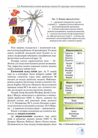 § 2. Різноманітність клітин організму людини. їх структура і життєдіяльність
Рис. 3. Форми і функції клітин:
1 —еритроцит(переносить кисень
у крові): 2 —нервова клітина (забезпечує
регуляцію функцій організму);
З —клітини спірального органа вушної
завитки (сприймають звукові коливання);
4 —клітини скелетних м’язів (скорочують­
ся, забезпечують рух тіла); 5 —клітина під­
шлункової залози (виробляє гормон інсулін,
який регулює вміст глюкози в крові)
Тіло людини складається з величезної кіль­
кості клітин (приблизно 10 трильйонів). Усі вони
мають подібний загальний план будови та за­
лежно від функцій набувають специфічних мор­
фологічних особливостей (рис. З')■
Розміри клітин мікроскопічно малі — 10-
50 мкм, але іноді вони бувають досить великими.
Так, відростки деяких нервових клітин людини
мають довжину майже метр.
Елементний склад клітин (рис. 4). У земній
корі та в атмосфері Землі відкрито майже 100
хімічних елементів, серед яких приблизно 90
входять до складу організму людини. Найпоши­
реніші в живих організмах чотири елементи: Гід­
роген, Карбон, Оксиген і Нітроген. На ці елементи
припадає понад 99 % як маси, так і кількості ато­
мів, що входять до складу організму людини.
Натрій, Хлор, Кальцій, Фосфор, Калій, Суль-
фур і Ферум знаходяться в організмі в концен­
трації приблизно 0,001 %. Проте, залежно від
функції клітин, цей показник може досягати
3-4 %. Наприклад, 99 % усього Кальцію в орга­
нізмі міститься в кісткових клітинах, 70 % Феру-
му —у червоних клітинах крові —еритроцитах.
Разом з чотирма основними ці елементи від­
носять до макроелементів.
До мікроелементів належать такі, вміст
яких в організмі людини менше 0,001 %. Це
Купрум, Манган, Кобальт, Цинк і багато інших.
Незважаючи на таку низьку концентрацію, вони
Макроелементи
Гідроген
Карбон
Оксиген
Нітроген
99%
Натрій
Хлор
Кальцій
Фосфор
Калій
Сульфур
Ферум
>0,001 %
Я
X Мікроелементи
5
.ь Купрум <0,001 %
£ Манган
Кобальт
Цинк
Неорганічні сполуки
Вода
Мінеральні речовини
Органічні сполуки
Білки
Вуглеводи
Жири
Нуклеїнові кислоти
Рис. 4. Хімічний склад клітин
9
 