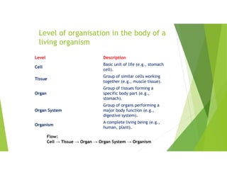 Level of organisation in the body of a
living organism
Description
Level
Basic unit of life (e.g., stomach
cell).
Cell
Group of similar cells working
together (e.g., muscle tissue).
Tissue
Group of tissues forming a
specific body part (e.g.,
stomach).
Organ
Group of organs performing a
major body function (e.g.,
digestive system).
Organ System
A complete living being (e.g.,
human, plant).
Organism
Flow:
Cell → Tissue → Organ → Organ System → Organism
 