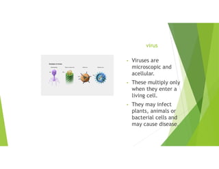 virus
• Viruses are
microscopic and
acellular.
• These multiply only
when they enter a
living cell.
• They may infect
plants, animals or
bacterial cells and
may cause disease.
 
