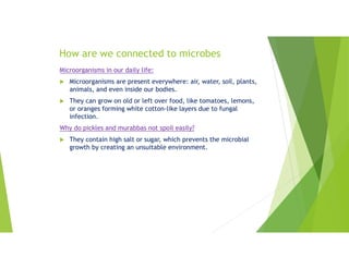 How are we connected to microbes
Microorganisms in our daily life:
 Microorganisms are present everywhere: air, water, soil, plants,
animals, and even inside our bodies.
 They can grow on old or left over food, like tomatoes, lemons,
or oranges forming white cotton-like layers due to fungal
infection.
Why do pickles and murabbas not spoil easily?
 They contain high salt or sugar, which prevents the microbial
growth by creating an unsuitable environment.
 