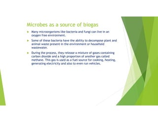 Microbes as a source of biogas
 Many microorganisms like bacteria and fungi can live in an
oxygen free environment.
 Some of these bacteria have the ability to decompose plant and
animal waste present in the environment or household
wastewater.
 During the process, they release a mixture of gases containing
carbon dioxide and a high proportion of another gas called
methane. This gas is used as a fuel source for cooking, heating,
generating electricity and also to even run vehicles.
 