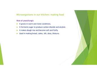 Microorganisms in our kitchen: making food
Role of yeast(fungi):
 It grows in warm and moist conditions.
 It ferments sugar to produce carbon dioxide and alcohol.
 It makes dough rise and become soft and fluffy.
 Used in making bread, cakes, idli, dosa, bhatura.
 