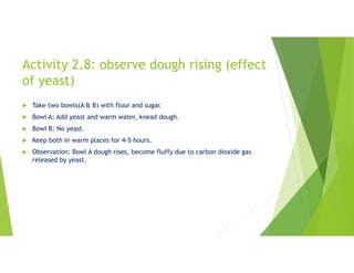 Activity 2.8: observe dough rising (effect
of yeast)
 Take two bowls(A & B) with flour and sugar.
 Bowl A: Add yeast and warm water, knead dough.
 Bowl B: No yeast.
 Keep both in warm places for 4-5 hours.
 Observation: Bowl A dough rises, become fluffy due to carbon dioxide gas
released by yeast.
 