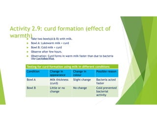 Activity 2.9: curd formation (effect of
warmth)
 Take two bowls(A & B) with milk.
 Bowl A: Lukewarm milk + curd
 Bowl B: Cold milk + curd
 Observe after few hours.
 Observation: Curd forms in warm milk faster than due to bacteria
like Lactobacillus.
Testing for curd formation using milk in different conditions
Possible reason
Change in
colour
Change in
appearance
Condition
Bacteria acted
faster
Slight change
Milk thickness
(curd)
Bowl A
Cold prevented
bacterial
activity
No change
Little or no
change
Bowl B
 