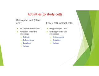 Activities to study cells
Onion peel cell (plant
cells)
 Rectangular shaped cells.
 Parts seen under the
microscope –
 Cell wall
 Cell membrane
 Cytoplasm
 Nucleus
Cheek cell (animal cell)
 Polygon shaped cells.
 Parts seen under the
microscope –
 Cell membrane
 Cytoplasm
 Nucleus
 