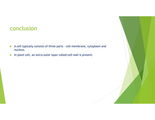 conclusion
 A cell typically consists of three parts – cell membrane, cytoplasm and
nucleus.
 In plant cell, an extra outer layer called cell wall is present.
 