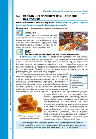 Тема1.Обмінречовинтаперетворенняенергіїворганізмілюдини
28
Потрібно їсти, щоб жити, а не жити, щоб їсти.
Сократ
§ 6. 	 ХАРЧУВАННЯ ЛЮДИНИ ТА ОБМІН РЕЧОВИН.
ЇЖА ЛЮДИНИ
Основні поняття й ключові терміни: ХАРЧУВАННЯ ЛЮДИНИ. Харчові
продукти. Харчові потреби. Енергетичні потреби.
Пригадайте!	 Що таке гетеротрофне живлення тварин?
	Поміркуйте!
Їжею є все, що споживає людина
для забезпечення життєдіяльності. Але
рідко хто розуміє, що найкориснішими
для людини є натуральні продукти, тому
що вони містять… енергію Сонця. Чи мо-
жете ви пояснити це твердження?
	ЗМІСТ
	 Яке значення має харчування для організму людини?
ХАРЧУВАння ЛЮДИНИ – сукупність процесів, які забезпечу-
ють потрапляння до організму їжі з речовинами, що необхідні для
нормальної життєдіяльності. Це один з чинників середовища, який
істотно впливає на здоров’я, працездатність і тривалість життя ор-
ганізму людини. У процесі харчування людина отримує готові ор-
ганічні речовини. Більшість із них утворюються в рослинах, які вико-
ристовують для цього сонячну енергію.
Яке ж значення має харчування для організму?
Під час перетравлювання їжі виділяється енергія,
яка затрачається на забезпечення життєдіяльності
організму (енергетична функція). Речовини у
складі їжі використовуються для побудови клітин,
тканин, органів, їхнього оновлення (харчова функ-
ція). Їжа містить речовини (наприклад, вітаміни,
клітковина), які беруть участь у регуляції обміну речовин (регуля-
торна функція). Хімічні речовини їжі
несуть інформацію для організму, нехту-
вання якою може призвести до отруєння.
Це інформація про особливості їжі. Вона
оцінюється смаковими рецепторами язика
і впливає на поведінку людини (інформа-
тивна функція). В їжі досить часто наявні
й лікувальні речовини, що захищають
наш організм і перешкоджають розвитку
хвороб (захисна функція). Яскравим при-
кладом такої їжі є бджолиний мед.
Отже, харчування є початковим етапом обміну речовин, енергії
та інформації організму із середовищем. Воно виконує енергетичну,
харчову, регуляторну, інформативну та захисну функції.
Функції харчування
1. Енергетична
2. Харчова
3. Регуляторна
4. Інформативна
5. Захисна
Іл. 14. Мед – природний ідеаль-
ний продукт харчування
 
