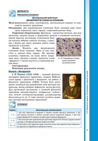 41
§8.Травленнялюдини.Оглядбудовитравноїсистеми
	ДІЯЛЬНІСТЬ
	 Навчаємося пізнавати
Дослідницький практикум
Дія ферментів слини на крохмаль
Мета:	формування умінь спостерігати, застосовувати знання та опи-
сувати процеси травлення.
Обладнання: два накрохмалені клаптики білої тканини (два тонкі
зрізи картоплі), вата, сірник, спиртовий розчин йоду.
Теоретичне обґрунтування. Крохмаль – органічна сполука, яка для
організму людини разом із буряковим цукром є основним постачаль-
ником простих вуглеводів. З розчином йоду
ця сполука набуває синього кольору, а реак-
ція з йодом дає змогу виявити навіть сліди
крохмалю в розчині.
Дослід. Візьміть два накрохмалені
клаптики білої тканини. Один із них опу-
стіть у розчин йоду одразу. На другому
клаптику сірником, на кінці якого накру-
чено вату, змочену слиною, напишіть слово
«фермент» і також опустіть у спиртовий роз-
чин йоду.
Спостереження.
Пояснення результатів досліду.
Біологія + Методологія
І.  П.  Павлов (1849–1936) – відомий фізіолог,
засновник фізіології травлення, лауреат Нобелів-
ської премії з фізіології і медицини «за роботу з
фізіології травлення» (1904). Успіхи його дослі­
джень залежали від розроблених ним методик (на-
приклад, метод умовних рефлексів, метод фістул).
Для організації досліджень у сучасній фізіології
травлення використовують зондування, ендоско-
пію, метод електрогастрографії, ультразвукову
діагностику та ін. У чому полягає сутність назва-
них методів дослідження травлення?
	РЕЗУЛЬТАТ
Оцінка Запитання для самоконтролю
1 – 6
1. Що таке травлення в людини? 2. Назвіть основні процеси травлення. 3. Що
таке травна система? 4. Назвіть основні органи травлення людини. 5. Що таке
травні ферменти? 6. Назвіть основні групи травних ферментів.
7 – 9
7. Яке значення має травлення для організму людини? 8. Опишіть будову травної
системи. 9. Які функції виконує травна система?
10 – 12
10. Висловіть свої судження щодо значення знань про травлення для збережен-
ня здоров’я й подовження тривалості життя.
Іл. 18. Пофарбовані йодом
зерна крохмалю
під мікроскопом
 