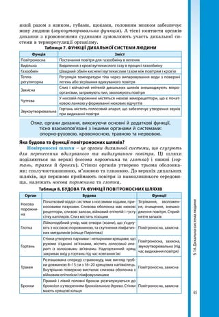 65
§14.Дихальнасистемалюдини
який разом з язиком, губами, щоками, головним мозком забезпечує
мову людини (звукоутворювальна функція). А тісні контакти органів
дихання з кровоносними судинами зумовлюють участь дихальної си-
стеми в терморегуляції організму.
Таблиця 7. Функції дихальної системи людини
Фунція Зміст
Повітроносна Постачання повітря для газообміну в легенях
Видільна Видалення з крові вуглекислого газу в процесі газообміну
Газообмін Швидкий обмін киснем і вуглекислим газом між повітрям і кров’ю
Тепло-
регуляторна
Регуляція температури тіла через випаровування води з поверхні
легень або зігрівання вдихуваного повітря
Захисна
Слиз і війчастий епітелій дихальних шляхів знешкоджують мікро­
організми, затримують пил, зволожують повітря
Чуттєва
У носовій порожнині містяться нюхові хеморецептори, що є почат-
ковою ланкою у формуванні нюхових відчуттів
Звукоутворювальна
Гортань містить голосовий апарат, що забезпечує утворення звуків
при видиханні повітря
Отже, органи дихання, виконуючи основні й додаткові функції,
тісно взаємопов’язані з іншими органами й системами:
опорно-руховою, кровоносною, травною та нервовою.
Яка будова та функції повітроносних шляхів?
Повітроносні шляхи – це органи дихальної системи, що слугують
для перенесення вдихуваного та видихуваного повітря. Ці шляхи
поділяються на верхні (носова порожнина та глотка) і нижні (гор-
тань, трахея й бронхи). Стінки органів утворено трьома оболонка-
ми: сполучнотканинною, м’язовою та слизовою. До верхніх дихальних
шляхів, що першими приймають повітря із навколишнього середови-
ща, належать носова порожнина та глотка.
Таблиця 8. Будова та функції повітроносних шляхів
Орган Будова Функції
Носова
порожни-
на
Початковий відділ системи з носовими ходами, при-
носовими пазухами. Слизова оболонка має нюхові
рецептори, слизові залози, війковий епітелій і густу
сітку капілярів. Слиз містить лізоцим
Зігрівання, зволожен-
ня, очищення, знешко­
дження повітря. Сприй-
няття запахів
Глотка
Лійкоподібний утвір, має отвори (хоани), що з’єдну-
ють з носовою порожниною, та скупчення лімфатич-
них мигдаликів (кільце Пирогова)
Повітроносна, захисна
Гортань
Стінки утворено парними і непарними хрящами, що
рухомо з’єднані зв’язками, містить голосовий апа-
рат із голосовими зв’язками. Надгортанний хрящ
закриває вхід у гортань під час ковтання їжі
Повітроносна, захисна,
звукоутворювальна (під
час видихання повітря)
Трахея
Розташована спереду стравоходу, має вигляд труб-
ки довжиною 8–15 см з 16–20 хрящових напівкілець.
Внутрішню поверхню вистилає слизова оболонка з
війковим епітелієм і лімфовузликами
Повітроносна, захисна
Бронхи
Правий і лівий головні бронхи розгалужуються до
бронхіол з утворенням бронхіального дерева. Стінки
мають хрящові кільця
Повітроносна, захисна
 