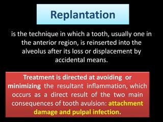 Replantation 
is the technique in which a tooth, usually one in 
the anterior region, is reinserted into the 
alveolus after its loss or displacement by 
accidental means. 
Treatment is directed at avoiding or 
minimizing the resultant inflammation, which 
occurs as a direct result of the two main 
consequences of tooth avulsion: attachment 
damage and pulpal infection. 
 