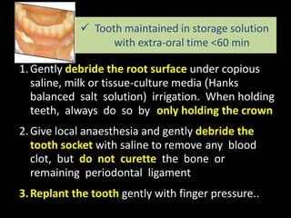  Tooth maintained in storage solution 
with extra-oral time <60 min 
1. Gently debride the root surface under copious 
saline, milk or tissue-culture media )Hanks 
balanced salt solution) irrigation. When holding 
teeth, always do so by only holding the crown 
2. Give local anaesthesia and gently debride the 
tooth socket with saline to remove any blood 
clot, but do not curette the bone or 
remaining periodontal ligament 
3.Replant the tooth gently with finger pressure.. 
 